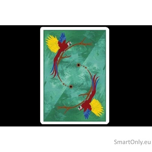 Infinity Playing Cards kortos Difatta 4 Infinity Playing Cards kortos Difatta 4