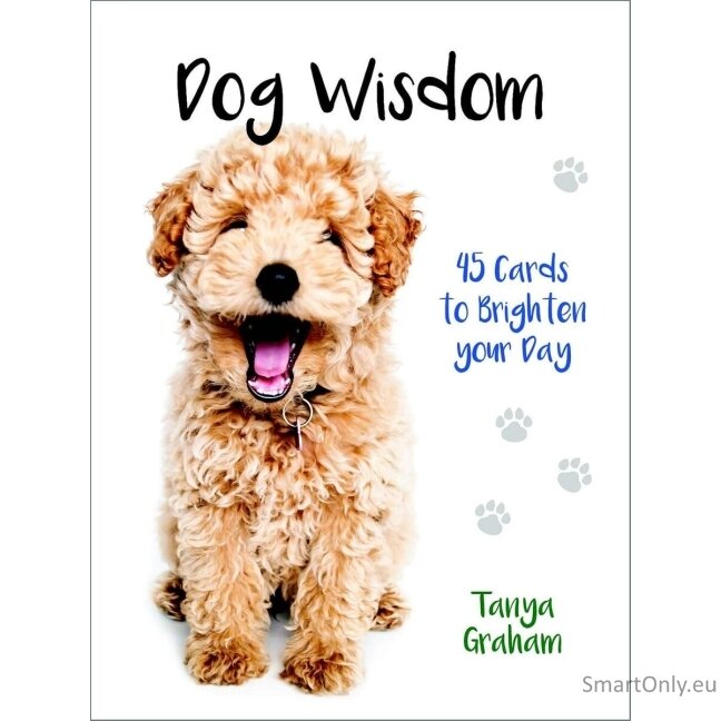 Inspirational kortos Dog Wisdom Blue Angel 5 Inspirational kortos Dog Wisdom Blue Angel 5