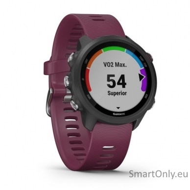 Smartwatch Garmin Forerunner 245 Berry 2
