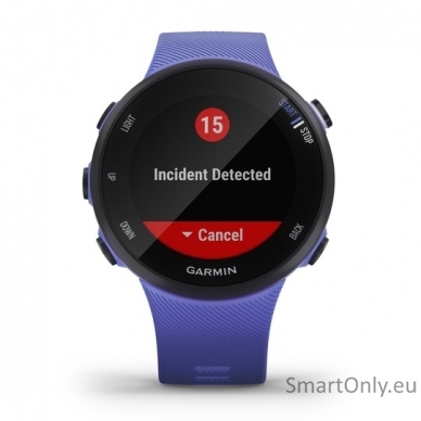 Smartwatch Garmin Forerunner 45S Iris 1