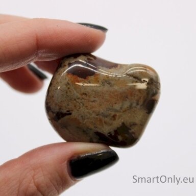 jasper-nguni-6-vnt-l-dydzio-ancient-wisdom-1