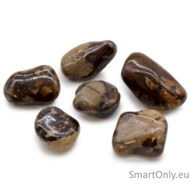 jasper-nguni-6-vnt-l-dydzio-ancient-wisdom