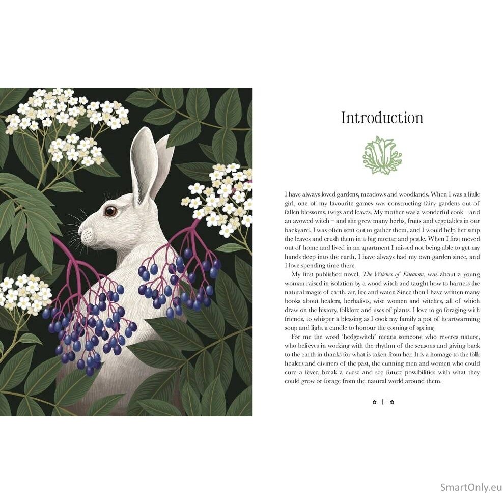Kate Forsyth's Hedgewitch Oracle kortos Rockpool Publishing 2