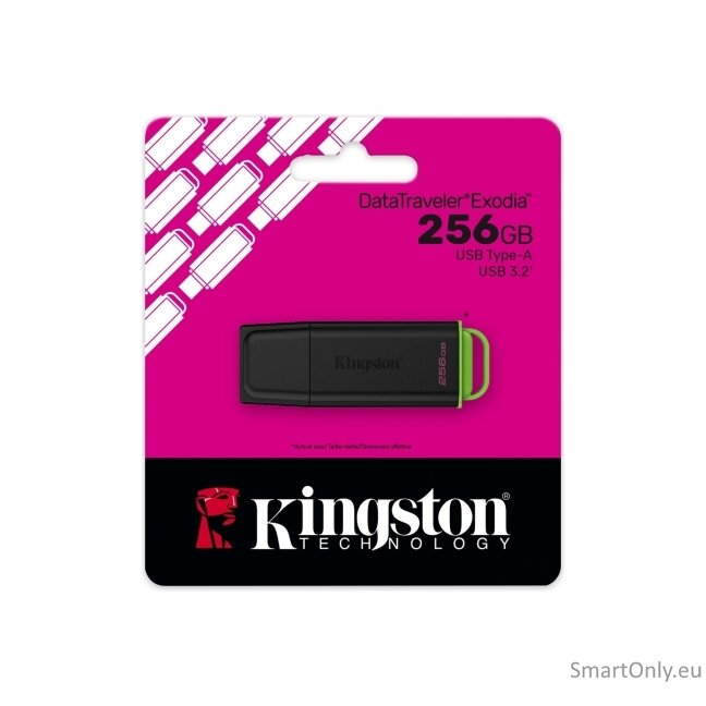 Kingston DataTraveler Exodia 256GB USB 3.2 Flash Drive 3 Kingston DataTraveler Exodia 256GB USB 3.2 Flash Drive 3