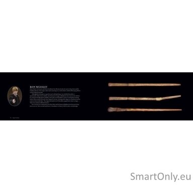 Kosmetinis defektas Harry Potter The Wand Collection knyga Insight Editions Kosmetinis defektas Harry Potter The Wand Collection knyga Insight Editions