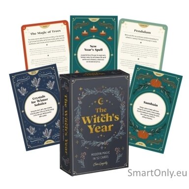 kosmetinis-defektas-the-witchs-year-modern-magic-kortos-david-charles