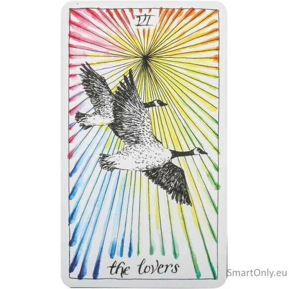 Kosmetinis defektas The Wild Unknown Tarot kortos Harper One 3