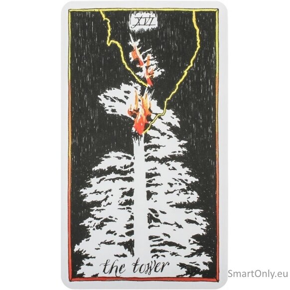 Kosmetinis defektas The Wild Unknown Tarot kortos Harper One 4 Kosmetinis defektas The Wild Unknown Tarot kortos Harper One 4