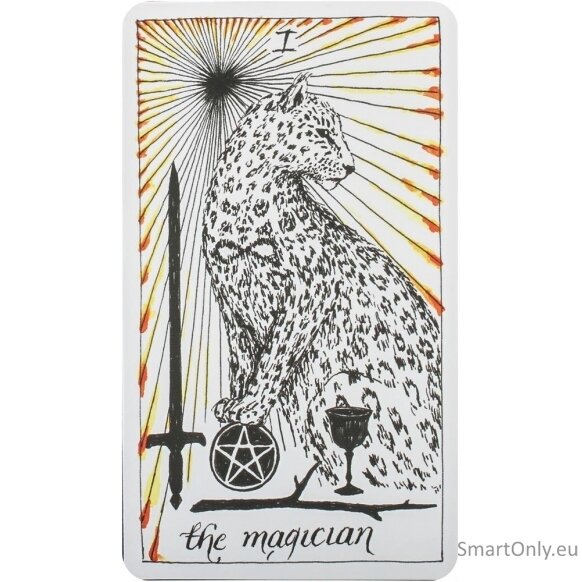 Kosmetinis defektas The Wild Unknown Tarot kortos Harper One 6