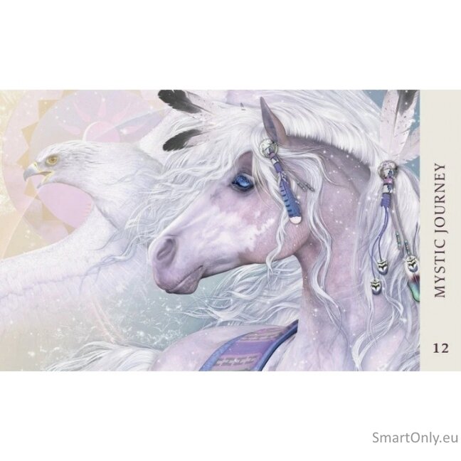 Kosmetinis defektas Horse Wisdom Oracle kortos Blue Angel 1