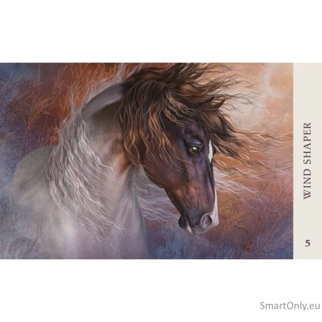 Kosmetinis defektas Horse Wisdom Oracle kortos Blue Angel 3