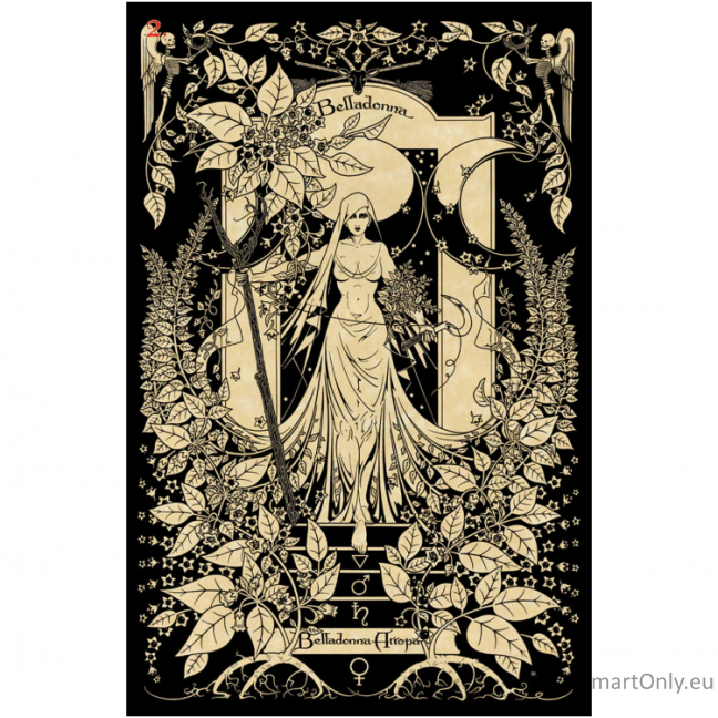 Kosmetinis defektas The Magickal Botanical Oracle kortos Lo Scarabeo 8 Kosmetinis defektas The Magickal Botanical Oracle kortos Lo Scarabeo 8