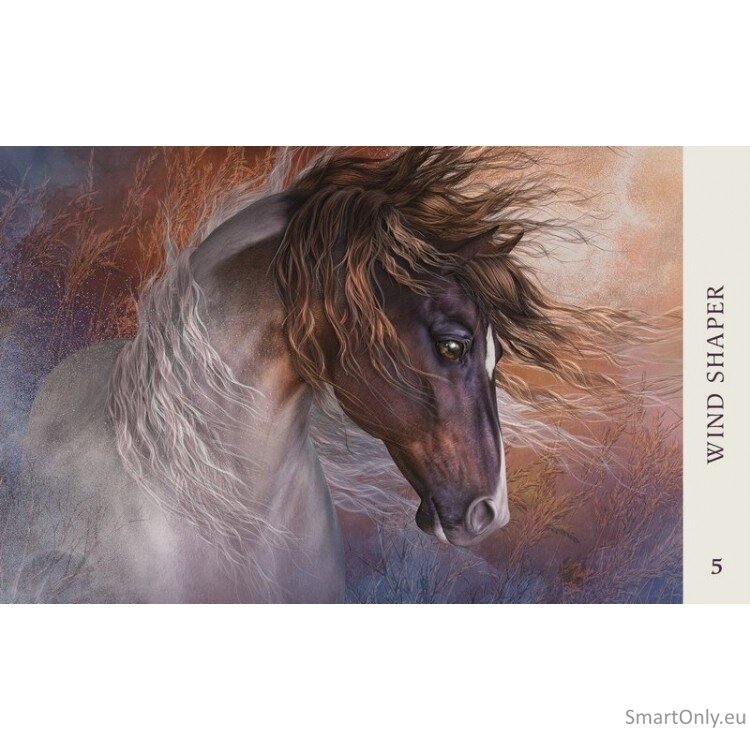 Kosmetinis defektas Horse Wisdom Oracle kortos Blue Angel 3 Kosmetinis defektas Horse Wisdom Oracle kortos Blue Angel 3