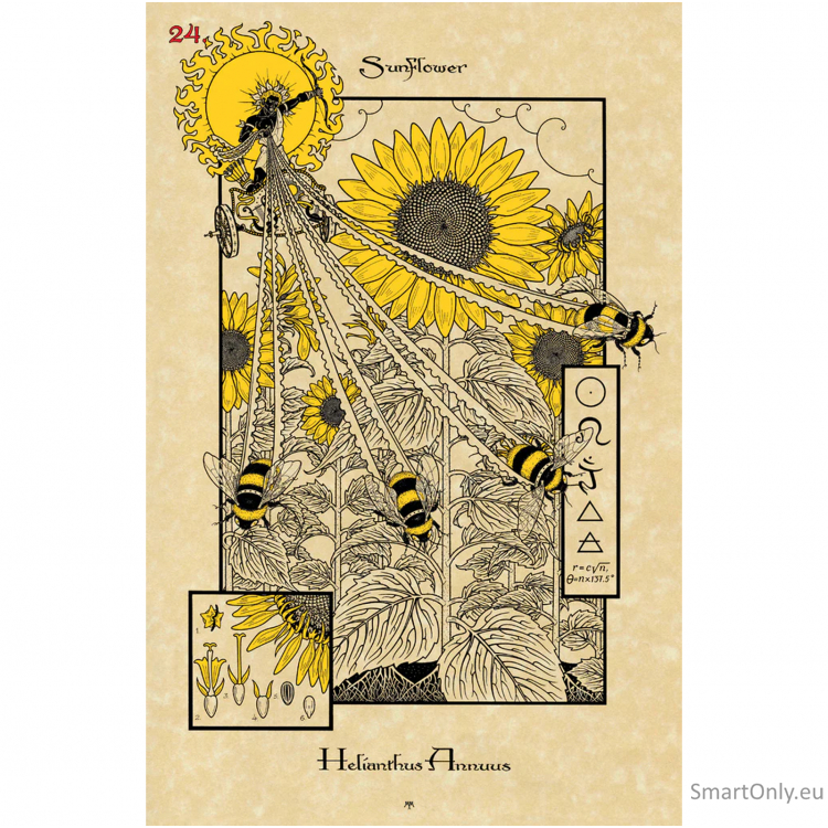 Kosmetinis defektas The Magickal Botanical Oracle kortos Lo Scarabeo 6