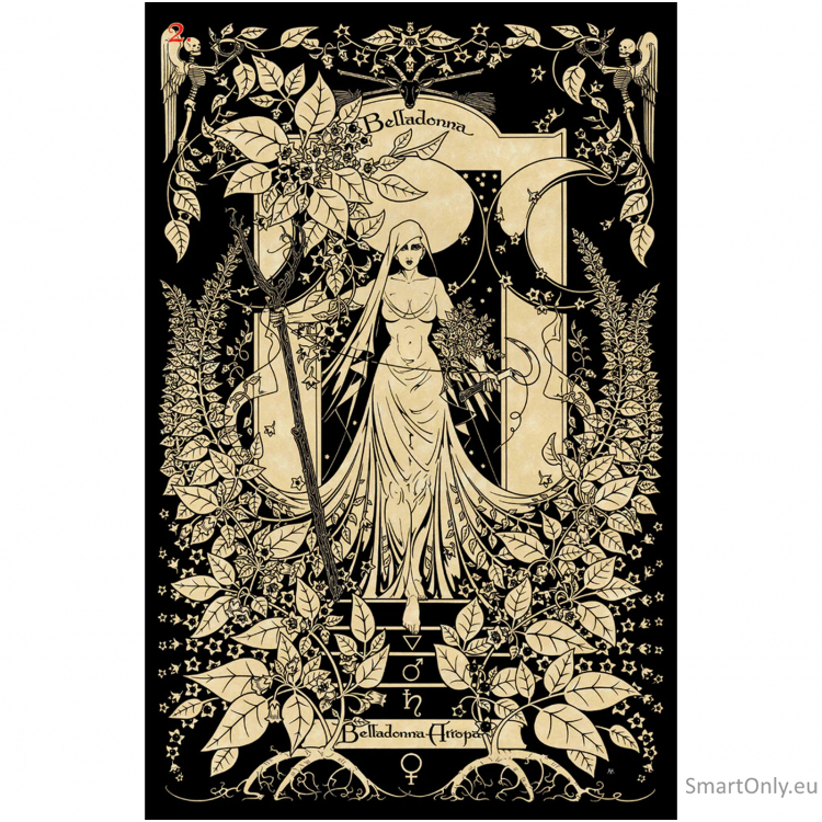 Kosmetinis defektas The Magickal Botanical Oracle kortos Lo Scarabeo 8 Kosmetinis defektas The Magickal Botanical Oracle kortos Lo Scarabeo 8
