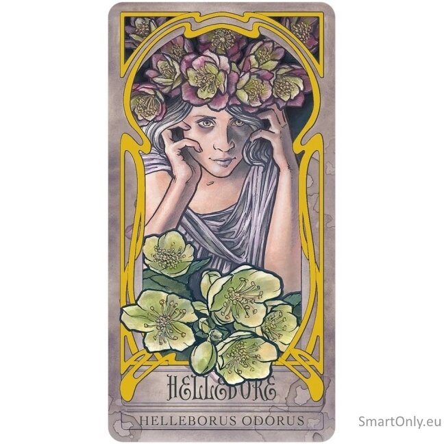 Lady Stirling's Wicked Garden orakulo kortų ir knygos rinkinys US Games Systems 11