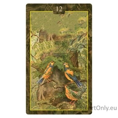 Lenormand Oracle Kortos Lo Scarabeo