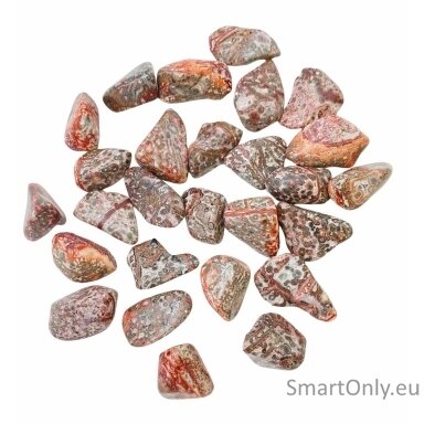 leoparodo-odos-jaspis-24-vnt-m-dydzio-ancient-wisdom-1
