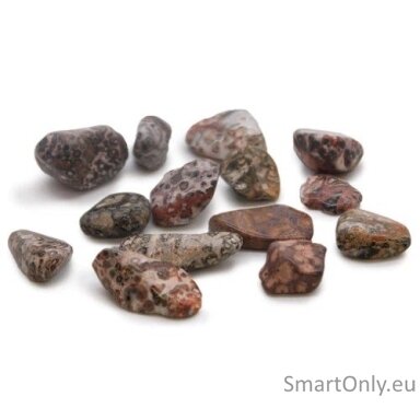 leoparodo-odos-jaspis-24-vnt-m-dydzio-ancient-wisdom