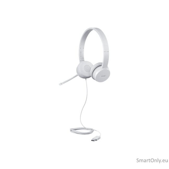 Lenovo | USB Headset | 110 Stereo | Yes | USB Type-A 2
