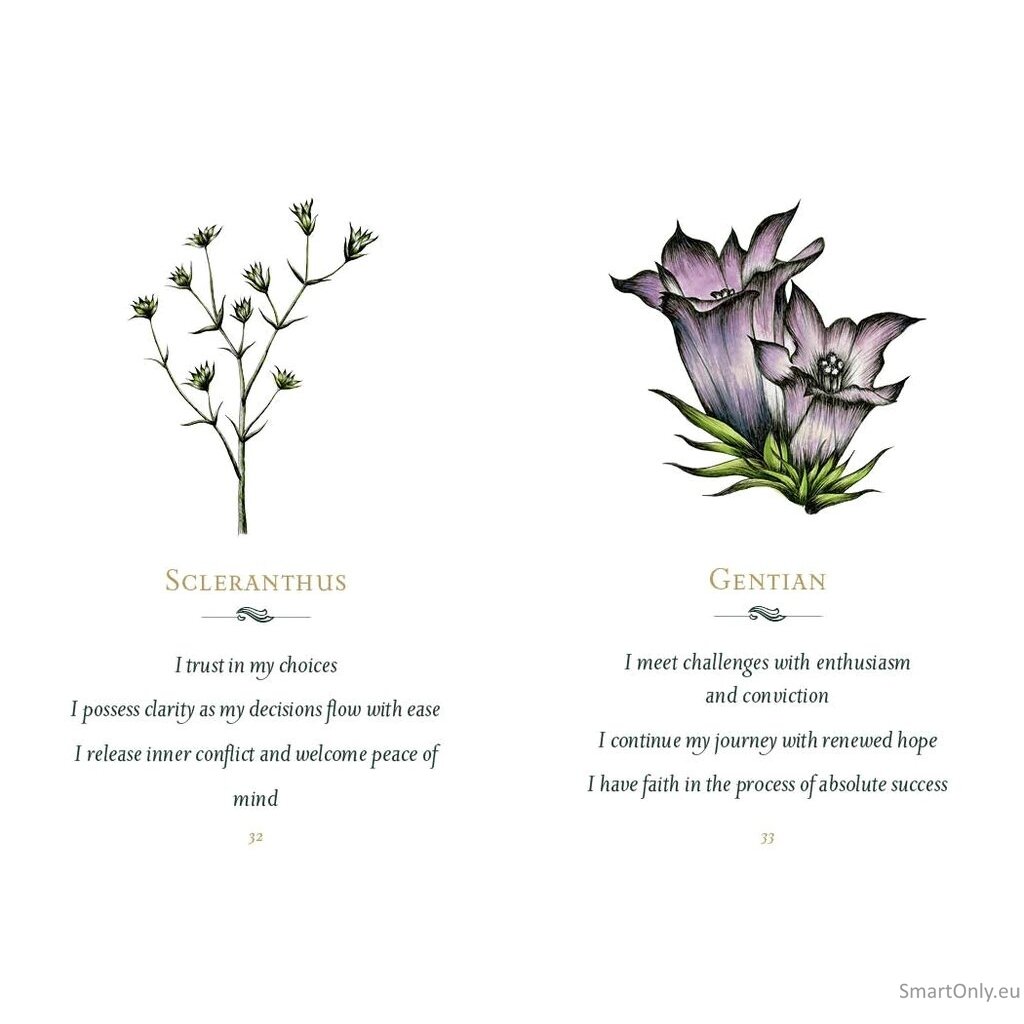 Listening to flowers Oracle kortos Schiffer Publishing 6 Listening to flowers Oracle kortos Schiffer Publishing 6