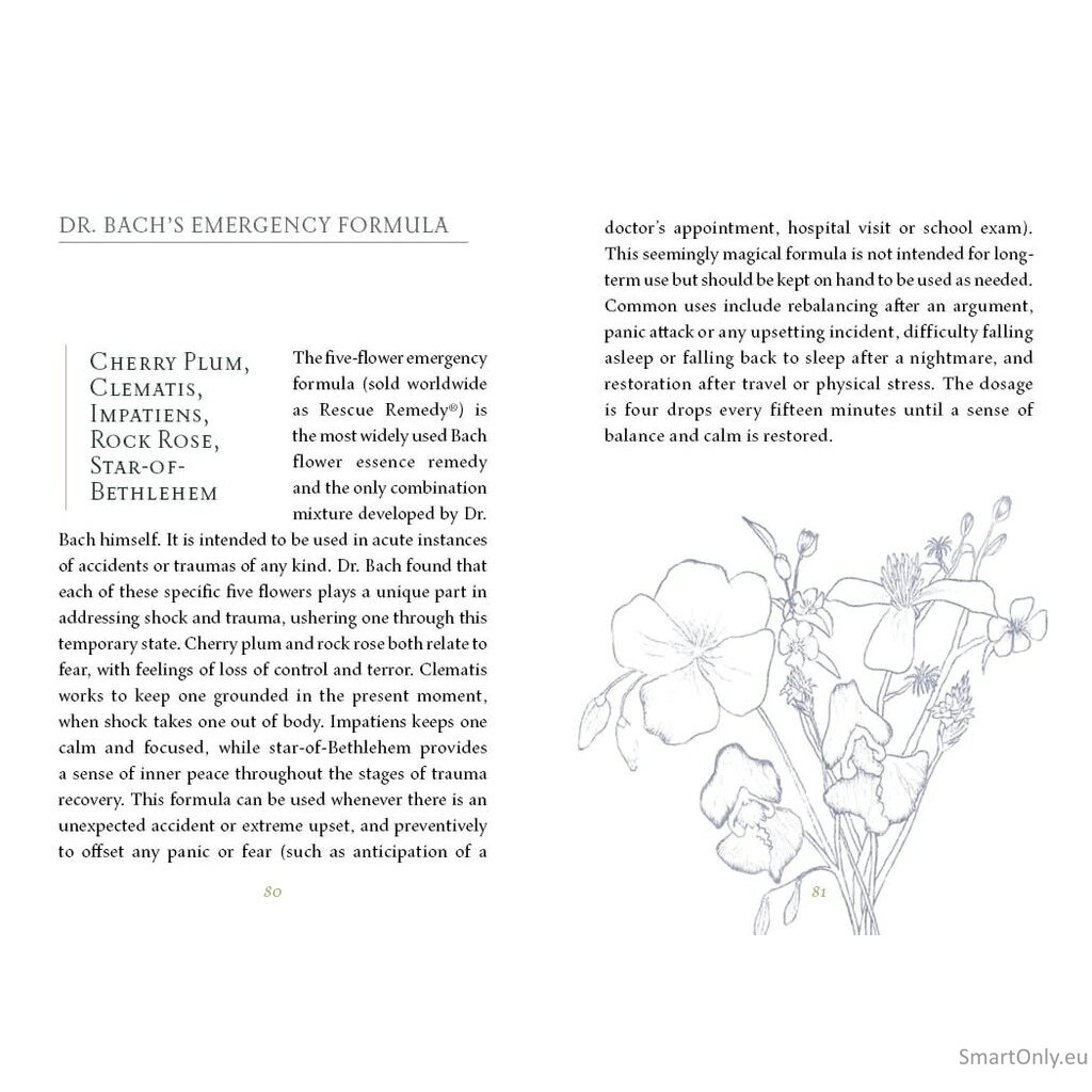 Listening to flowers Oracle kortos Schiffer Publishing 7 Listening to flowers Oracle kortos Schiffer Publishing 7