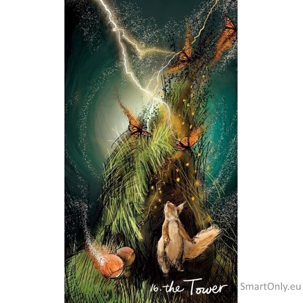 Light Seer Pocket Tarot kortos Hay House 3