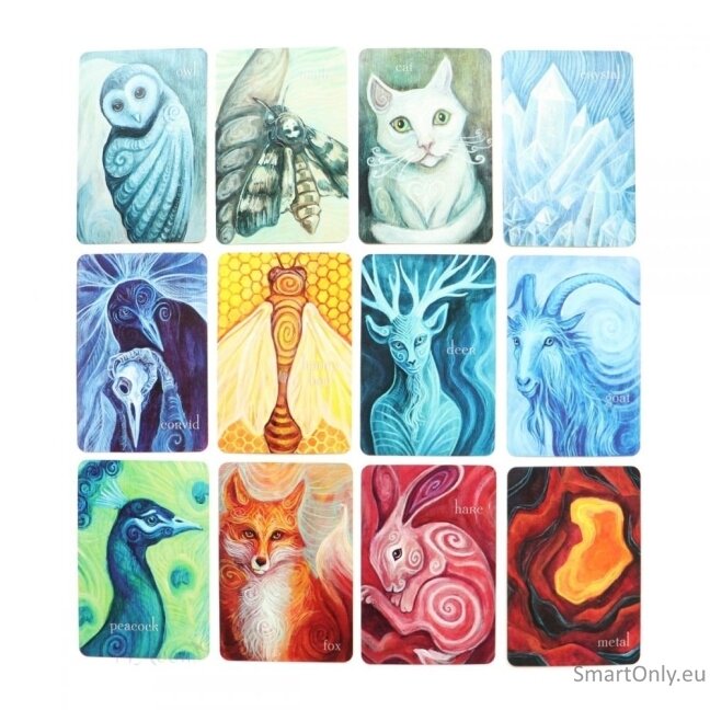Liminal Spirits Oracle kortos Llewellyn 2 Liminal Spirits Oracle kortos Llewellyn 2
