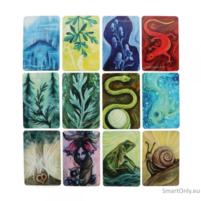 Liminal Spirits Oracle kortos Llewellyn 4 Liminal Spirits Oracle kortos Llewellyn 4