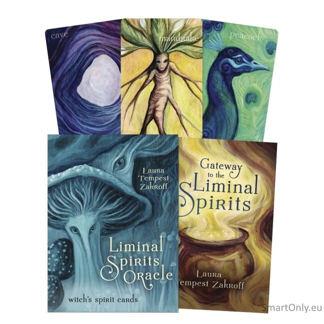 Liminal Spirits Oracle kortos Llewellyn Liminal Spirits Oracle kortos Llewellyn