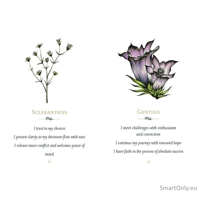 Listening to flowers Oracle kortos Schiffer Publishing 6 Listening to flowers Oracle kortos Schiffer Publishing 6
