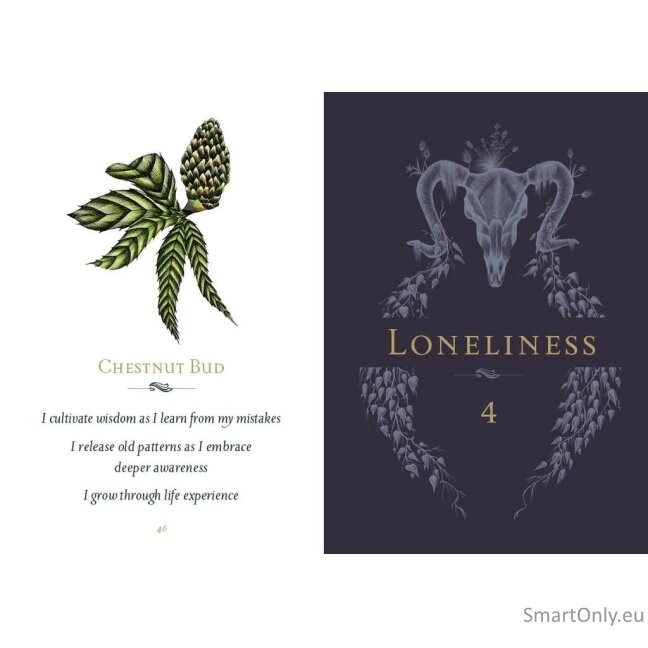 Listening to flowers Oracle kortos Schiffer Publishing 8 Listening to flowers Oracle kortos Schiffer Publishing 8
