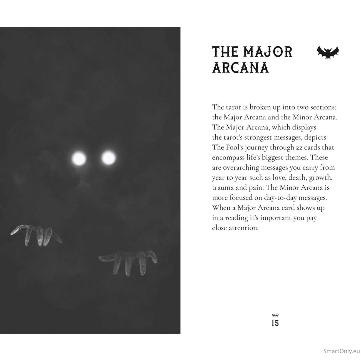 Macabre Taro kortos kišeninis leidimas metalinėje dėžutėje Rockpool Publishing 12 Macabre Taro kortos kišeninis leidimas metalinėje dėžutėje Rockpool Publishing 12