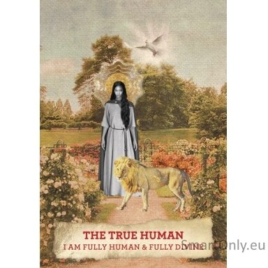 Mary Magdalene Oracle kortos Hay House