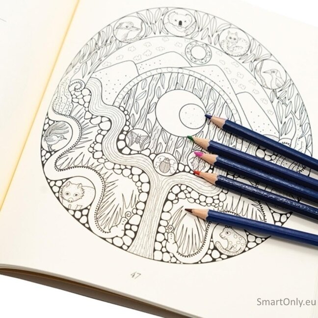 Magic Mandala a Book of Coloring in spalvinimo knyga Blue Angel 1