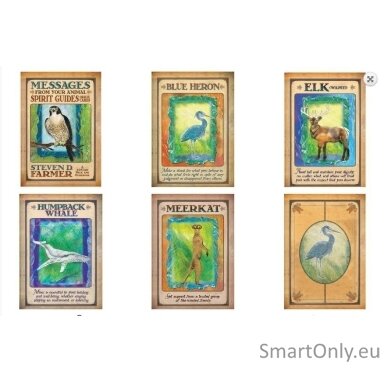 Messages From Your Animal Spirit Guides Oracle kortos Hay House