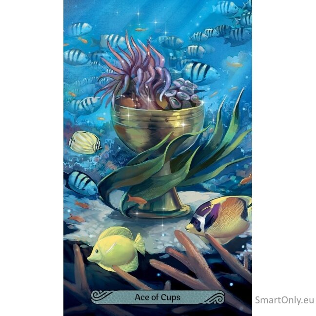 Mermaid Taro kortos Llewellyn 6 Mermaid Taro kortos Llewellyn 6