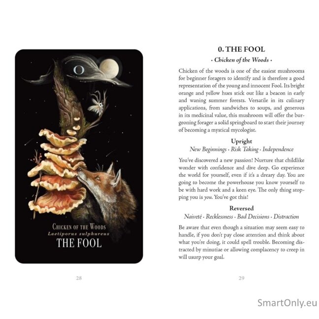 Midnight Magic Taro kortos Adams Media 13 Midnight Magic Taro kortos Adams Media 13