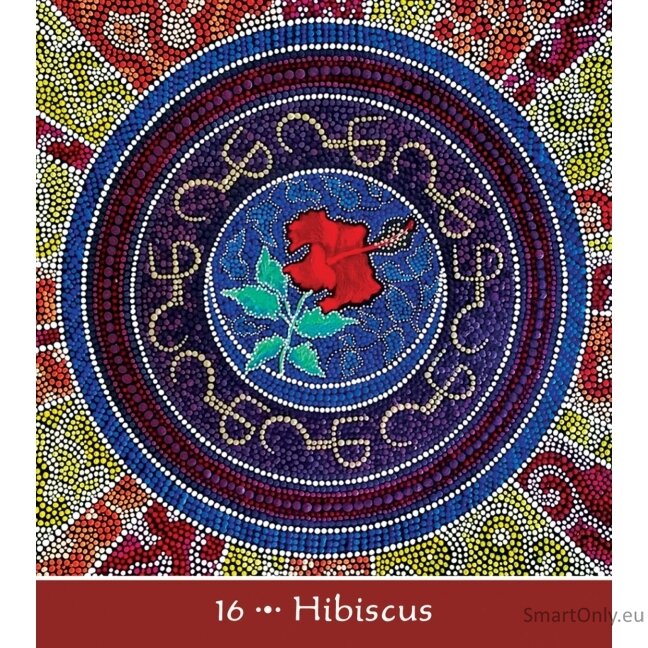 Mother Earth Mandala Oracle kortos US Games Systems 3