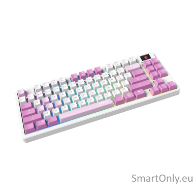 MSI FORGE GK600 TKL WIRELESS VIOLET | Gaming keyboard | Wireless | US | Mechanical Linear MSI FORGE GK600 TKL WIRELESS VIOLET | Gaming keyboard | Wireless | US | Mechanical Linear