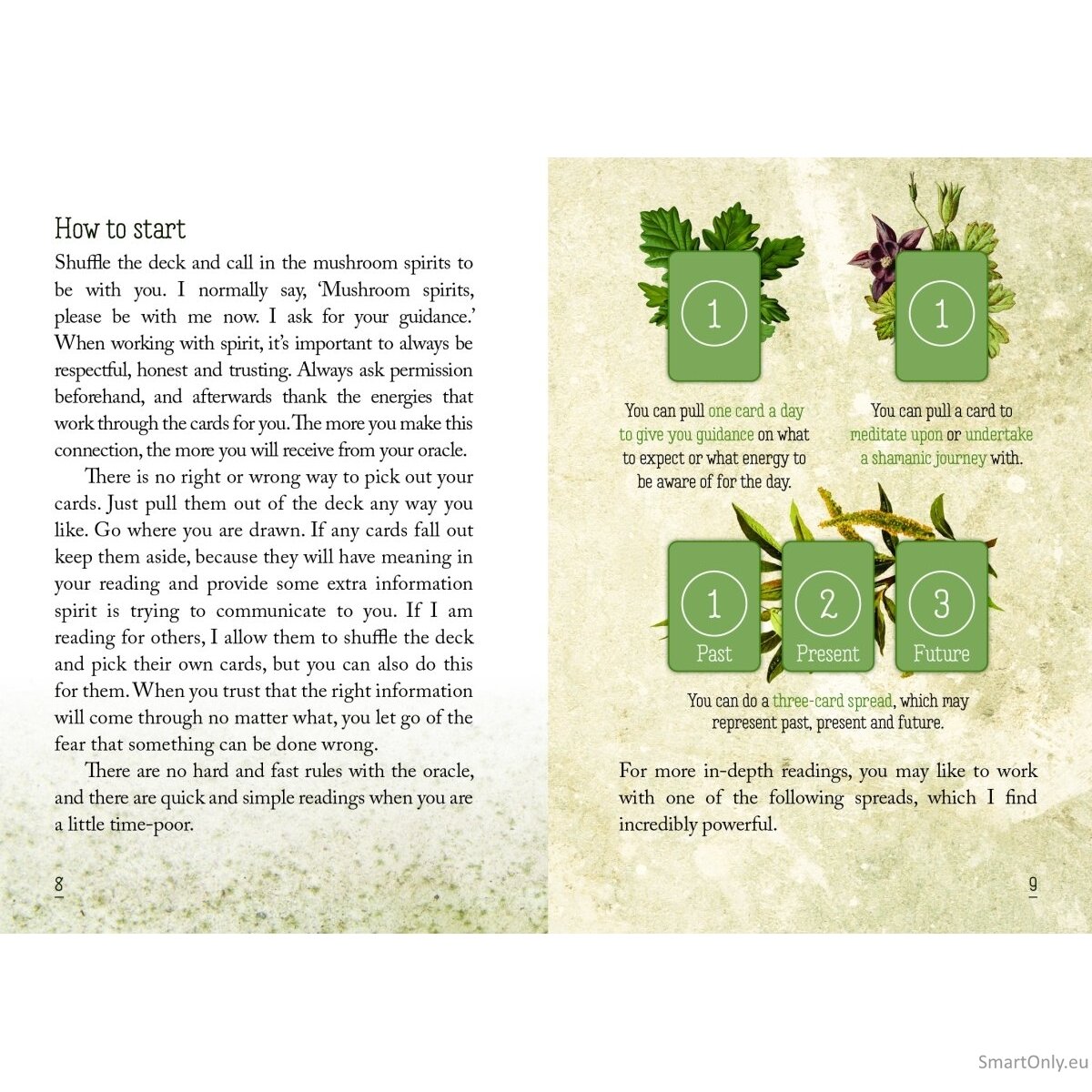 Mushroom Spirit Oracle kortos Rockpool Publishing 5 Mushroom Spirit Oracle kortos Rockpool Publishing 5