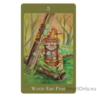 Mushroom Folk Oracle kortos Blue Angel