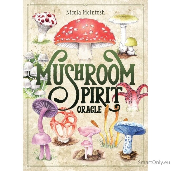 Mushroom Spirit Oracle kortos Rockpool Publishing 1 Mushroom Spirit Oracle kortos Rockpool Publishing 1