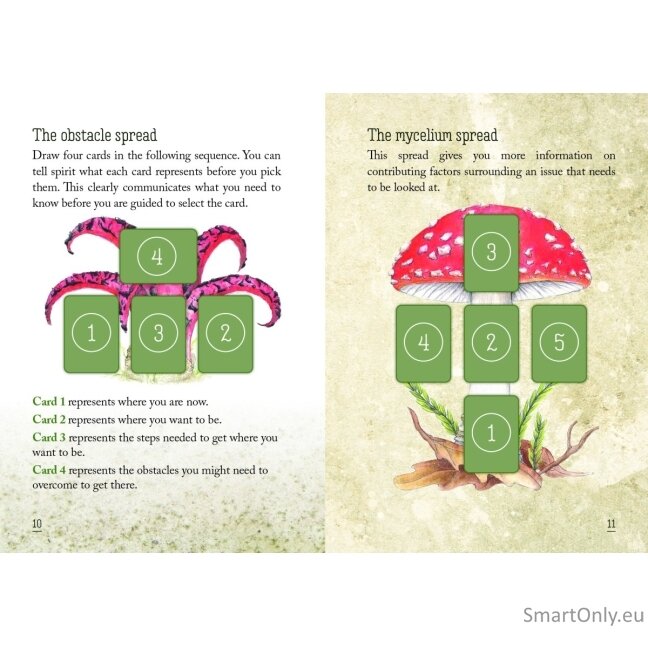 Mushroom Spirit Oracle kortos Rockpool Publishing 4