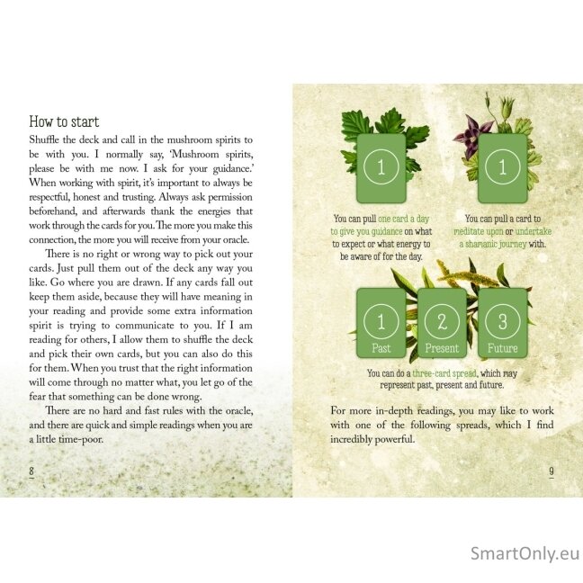 Mushroom Spirit Oracle kortos Rockpool Publishing 5 Mushroom Spirit Oracle kortos Rockpool Publishing 5
