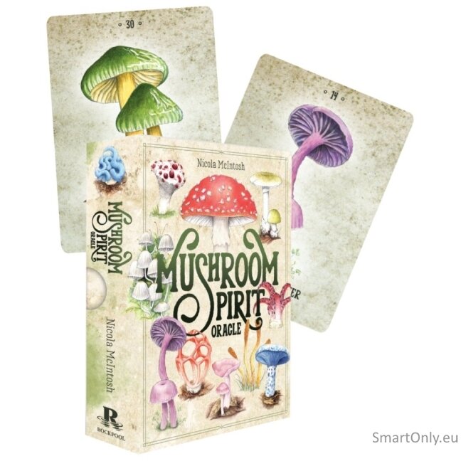Mushroom Spirit Oracle kortos Rockpool Publishing Mushroom Spirit Oracle kortos Rockpool Publishing