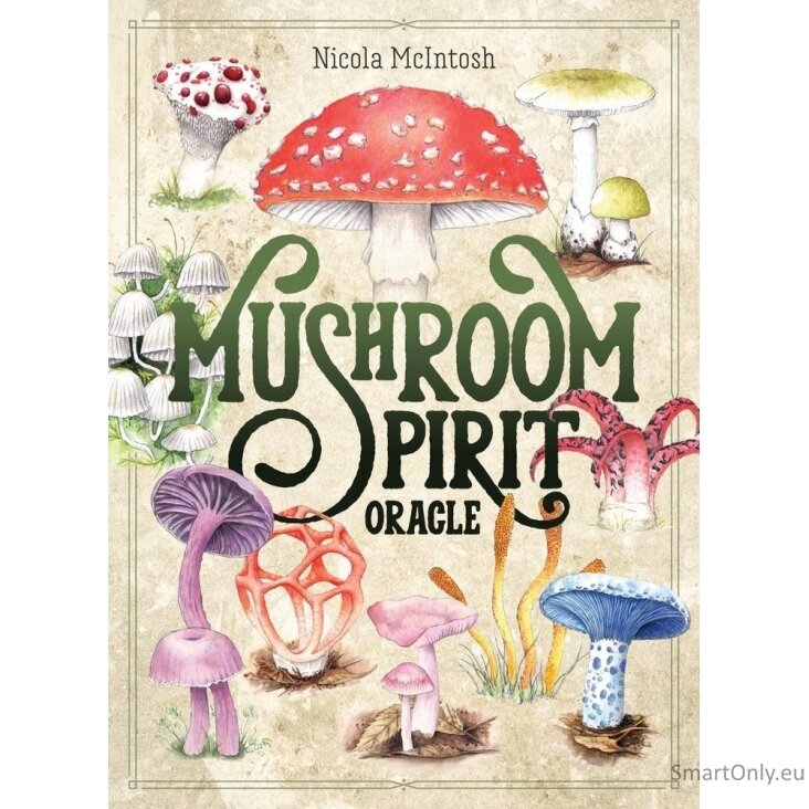 Mushroom Spirit Oracle kortos Rockpool Publishing 1 Mushroom Spirit Oracle kortos Rockpool Publishing 1