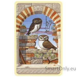 Mystical Lenormand kortos AGM 4 Mystical Lenormand kortos AGM 4