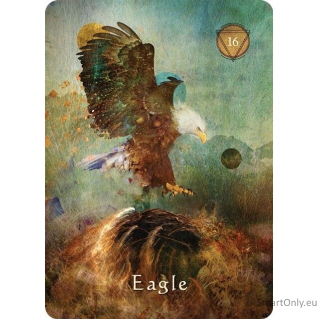 Mystical Shaman Oracle kortos Hay House 2 Mystical Shaman Oracle kortos Hay House 2