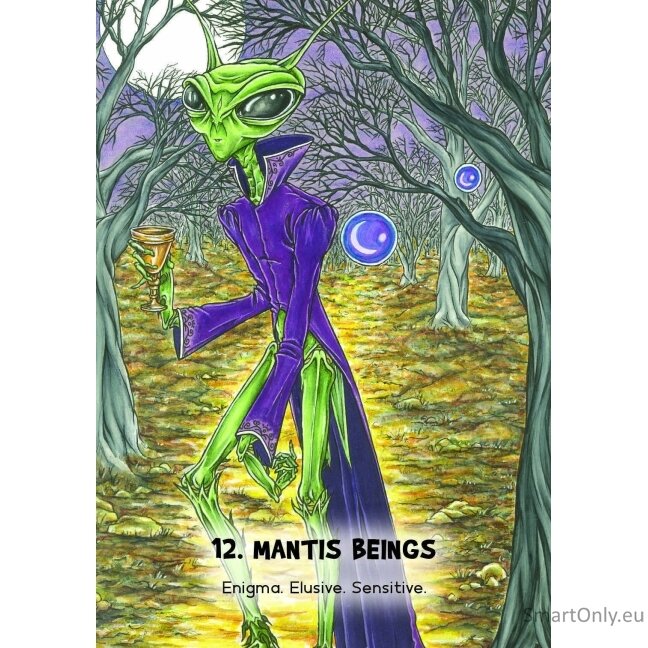 Mystic Martian Oracle kortos Rockpool 6 Mystic Martian Oracle kortos Rockpool 6